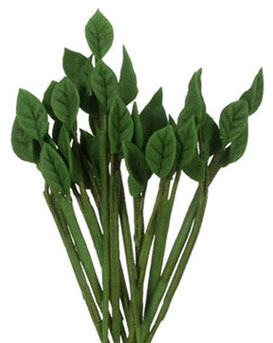 Dollhouse Miniature Rose Leafs 1 Dozen, Dark Green